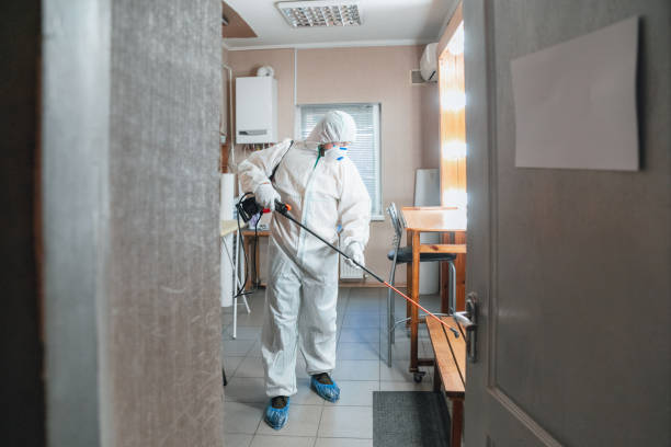 Best Biohazard Mold Removal  in Hollister, MO