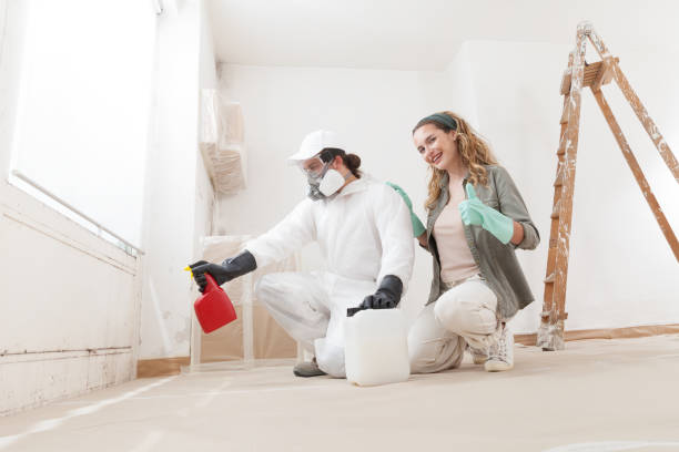 Best Environmental Consulting for Mold Prevention  in Hollister, MO